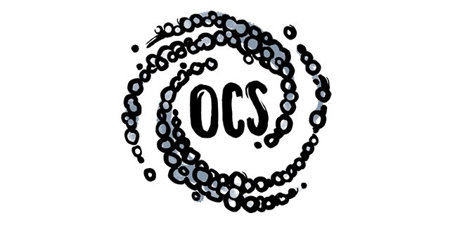 operation clean sweep