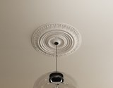 3000321_2_image