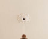 3000562_2_image